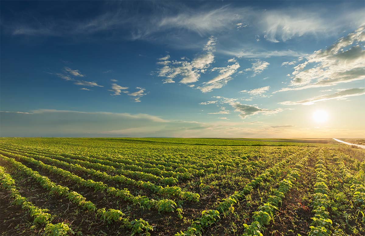 Vanessa Chávarry participará en el webinar «Nuevas directrices ambientales para el sector agrario: Reglamento de Gestión Ambiental del Sector Agrario y de Riego»